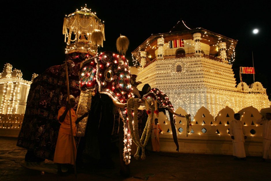 Шри Ланке праздник Перахера