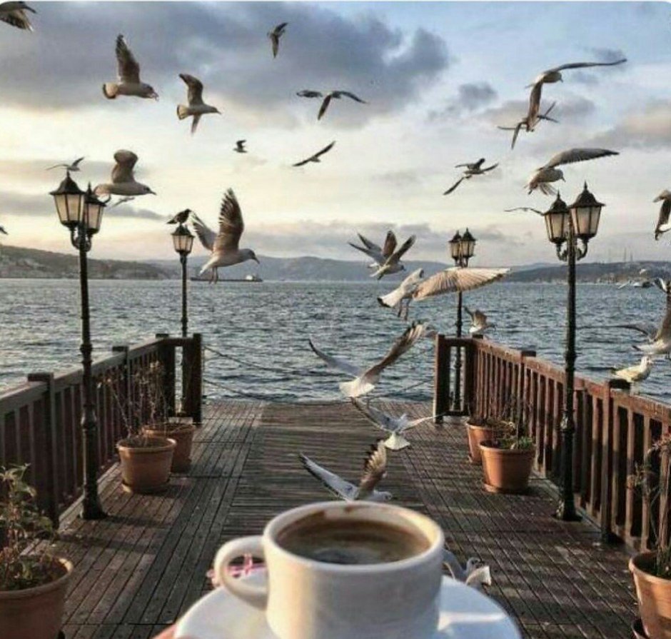 Утро на море с кофе