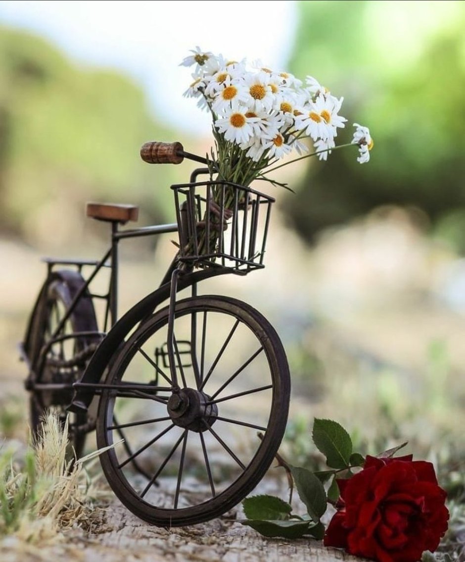 Удачного дня и отличного настроения велосипед с цветами