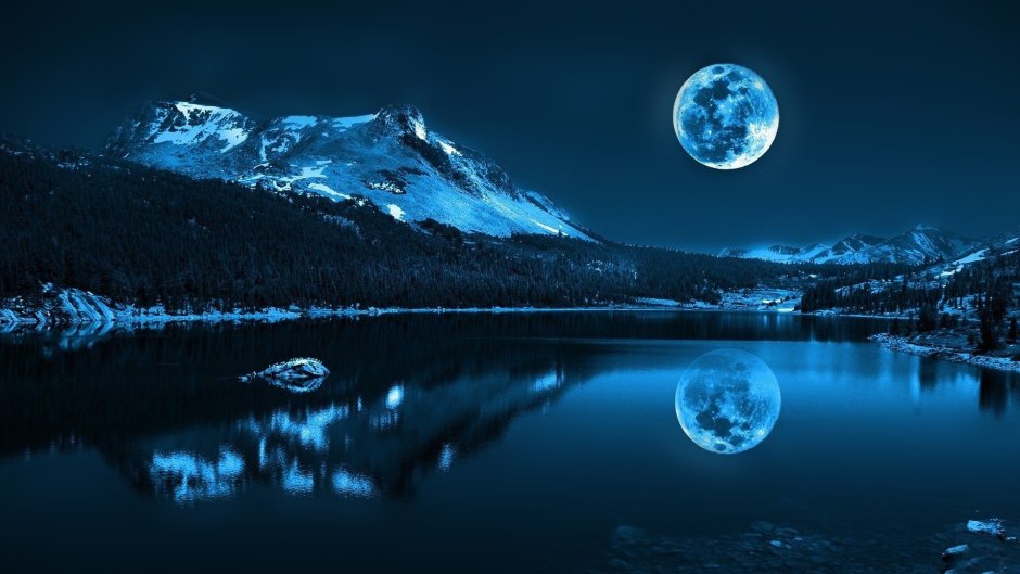 Лунная ночь