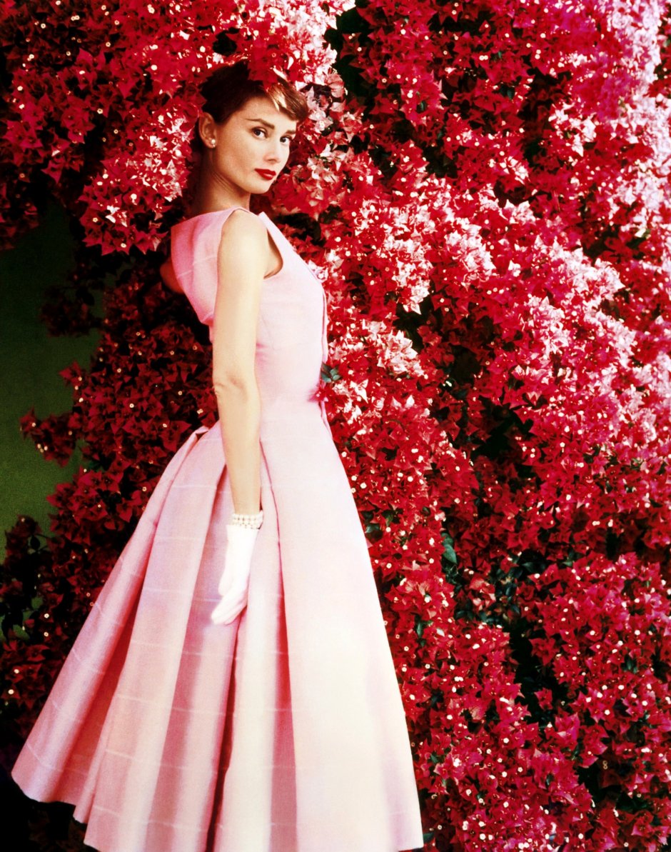 Платье Одри Хепберн на Оскаре 1954