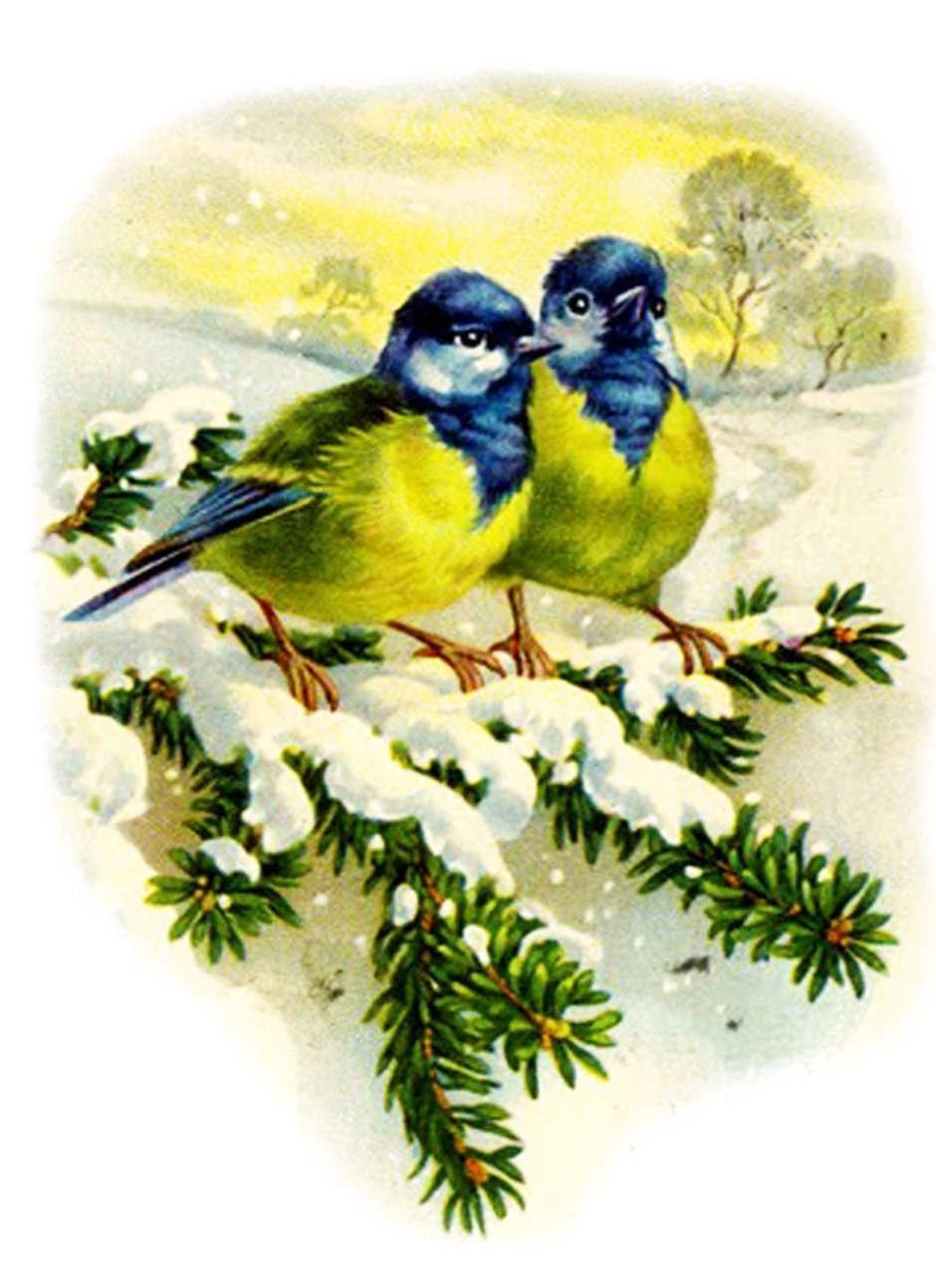 Новогодние птички для декупажа