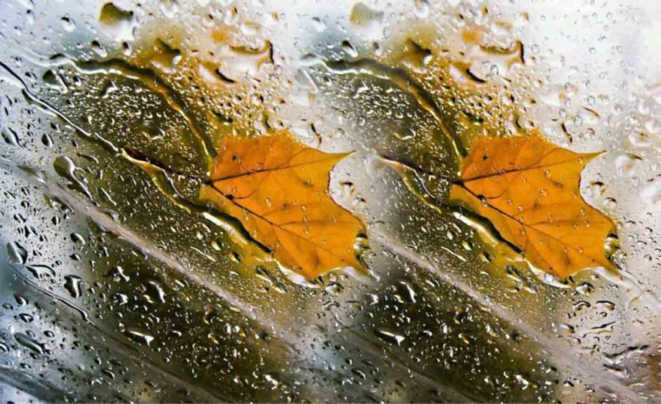 Осень дождь кофе