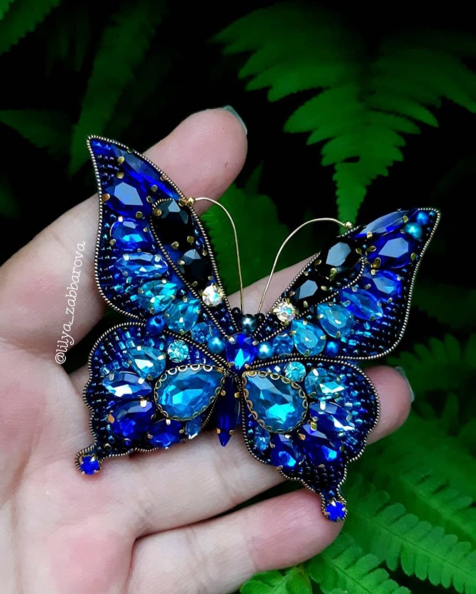 Бабочки Волгоград