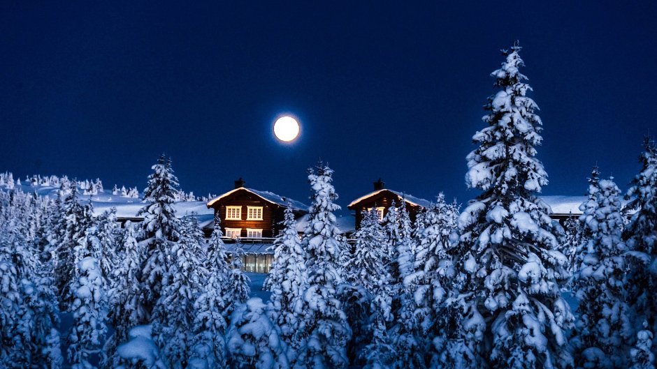 Домик в ночном зимнем лесу