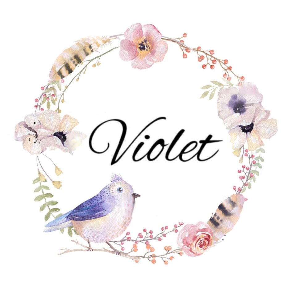 Виолетта птица