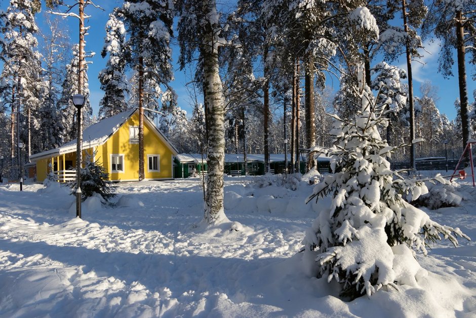 Карелия домик на новогодние праздники