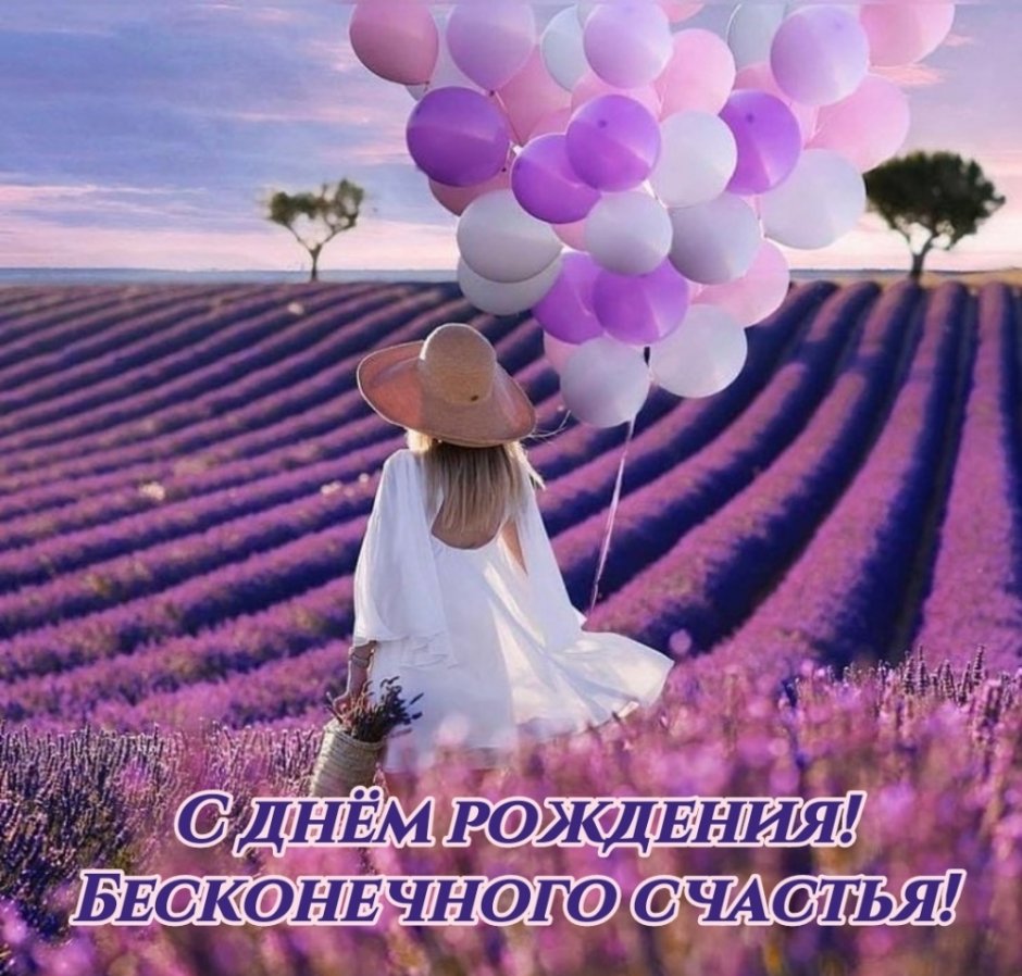 Шикарные полевые цветы