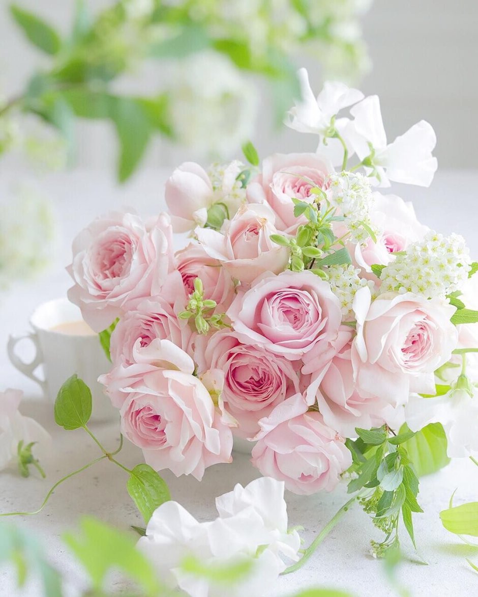 Розы нежно розовые с белым