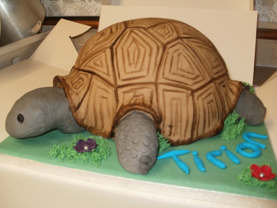 Торт черепаха в разрезе