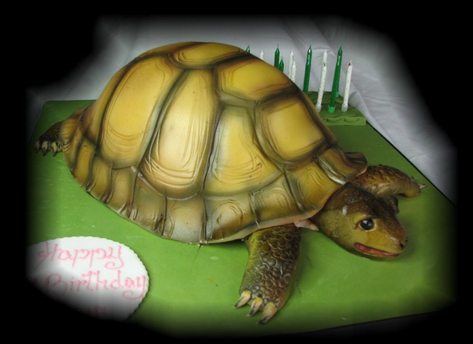 3д торт черепаха