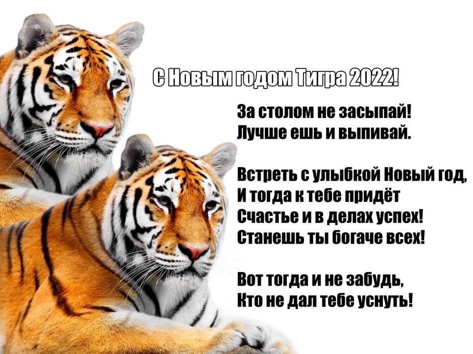 Новый год тигра 2022