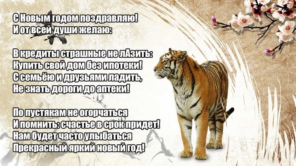 С новым годом тигра 2022