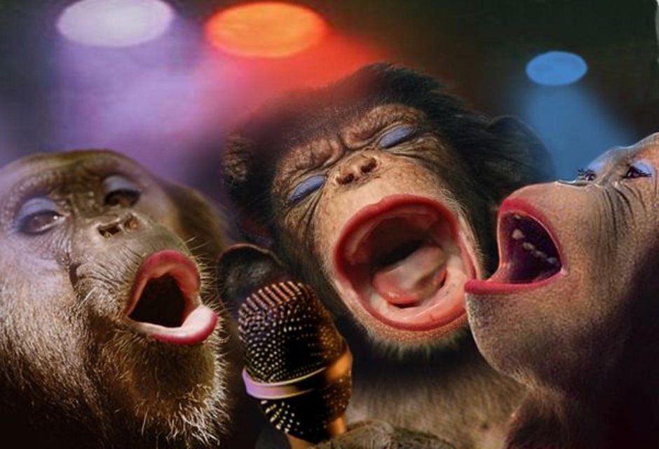 Три обезьяны поют