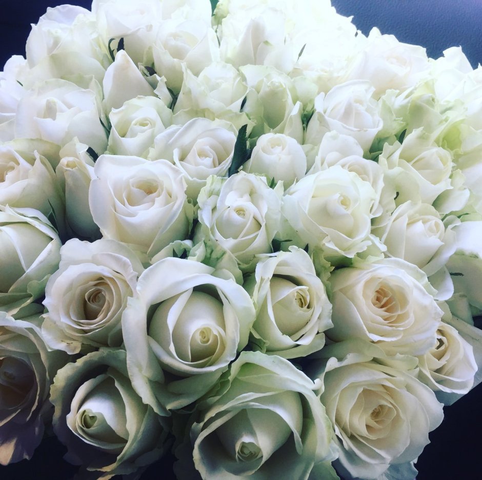 Белые розы открытки красивые