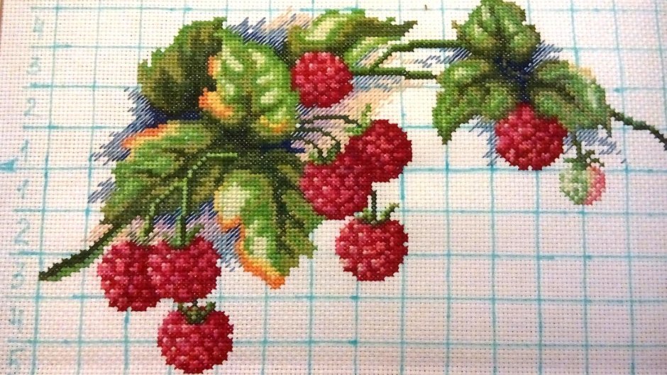 Панна садовые ягоды