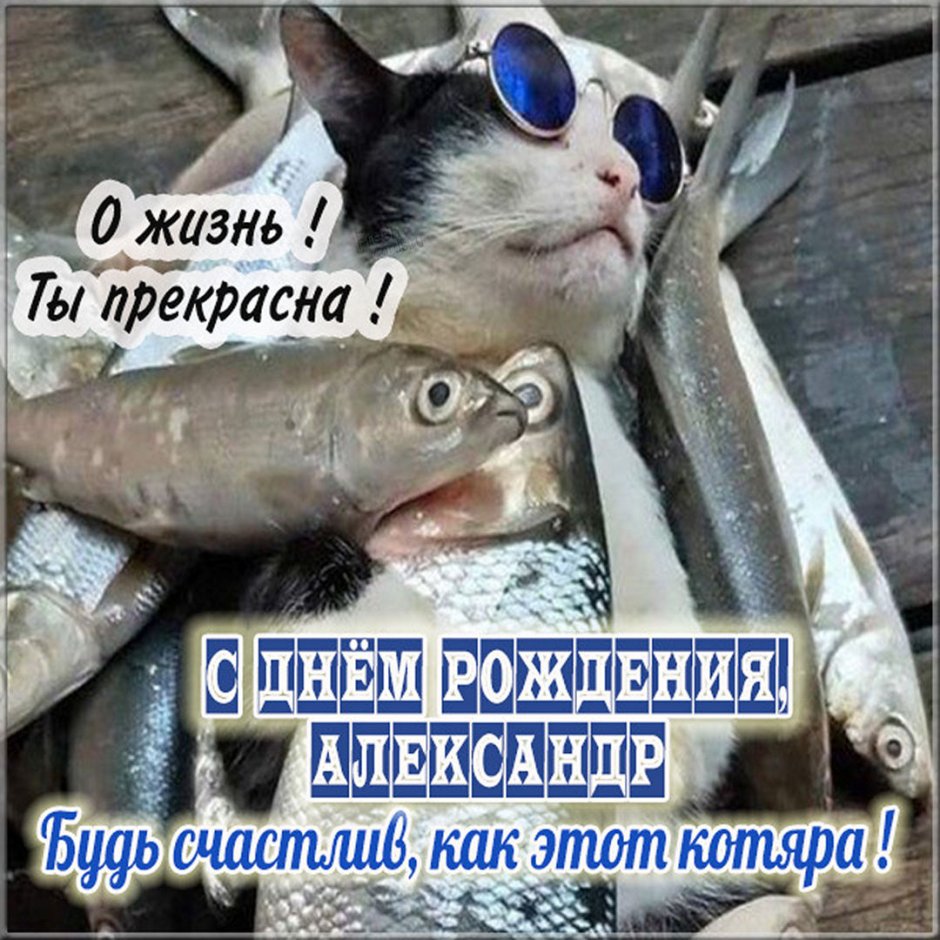 С днём рождения другу