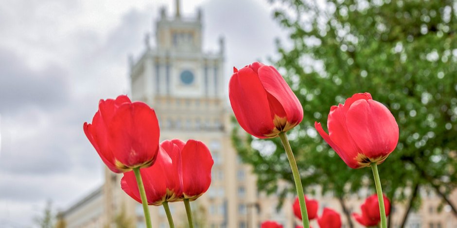 Москва весной