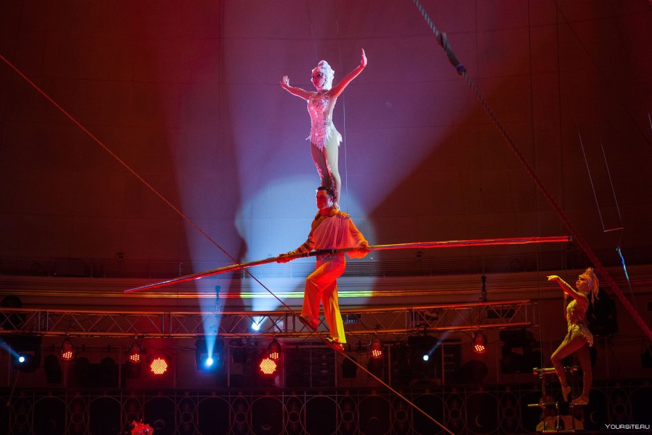 Цирк Екатеринбург клоуны