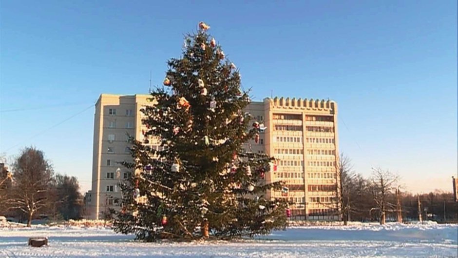 Новогодняя елка в Костроме