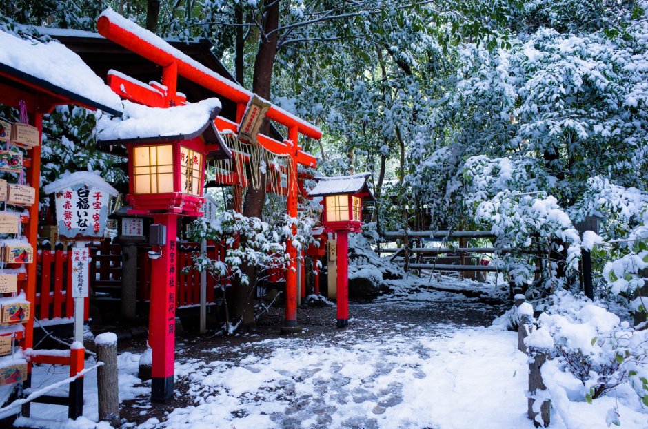 Япония врата тории зима