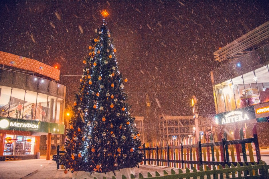 Новогодние елки на улице Дубны