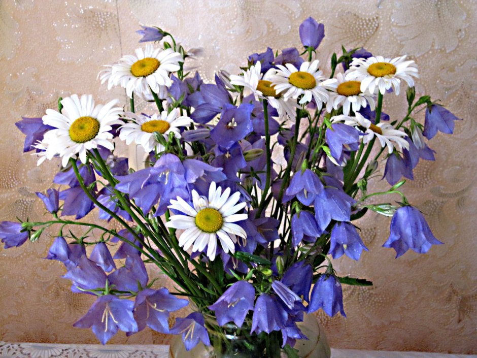 Валентина Колова полевые цветы натюрморт