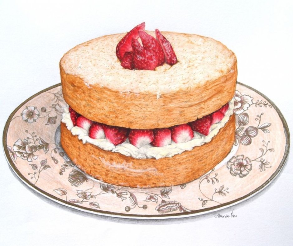 Бисквитный торт рисунок