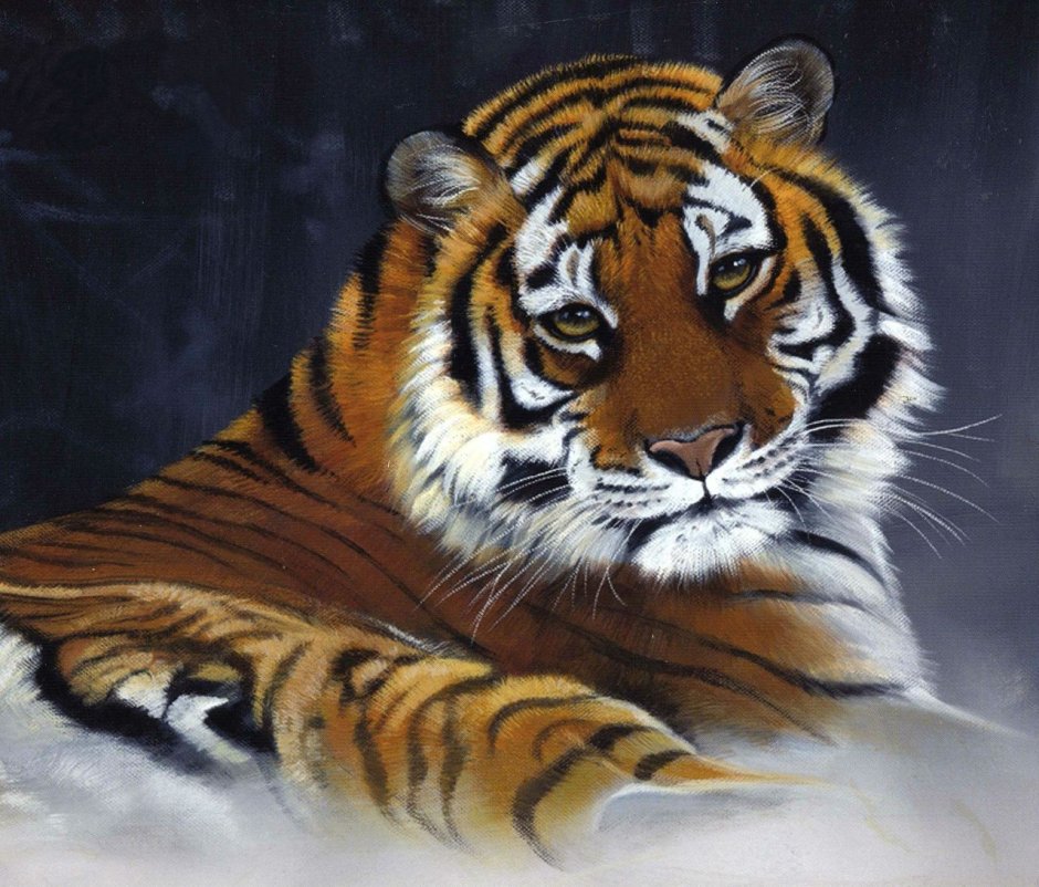 Открытка с тигром