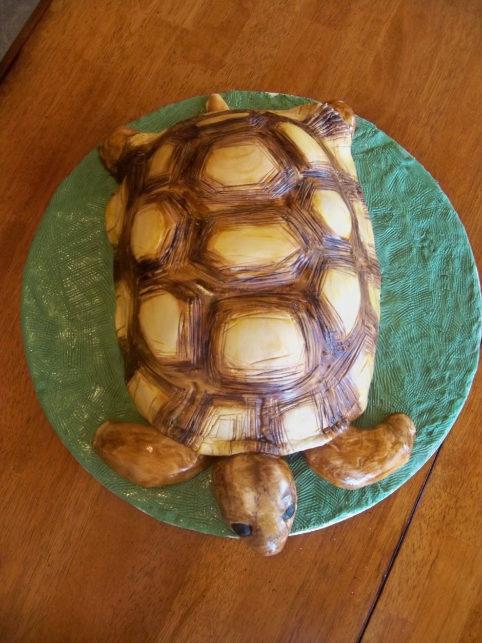 Торт черепаха прикол