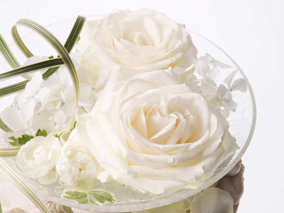 Поздравления с днем рождения белые розы