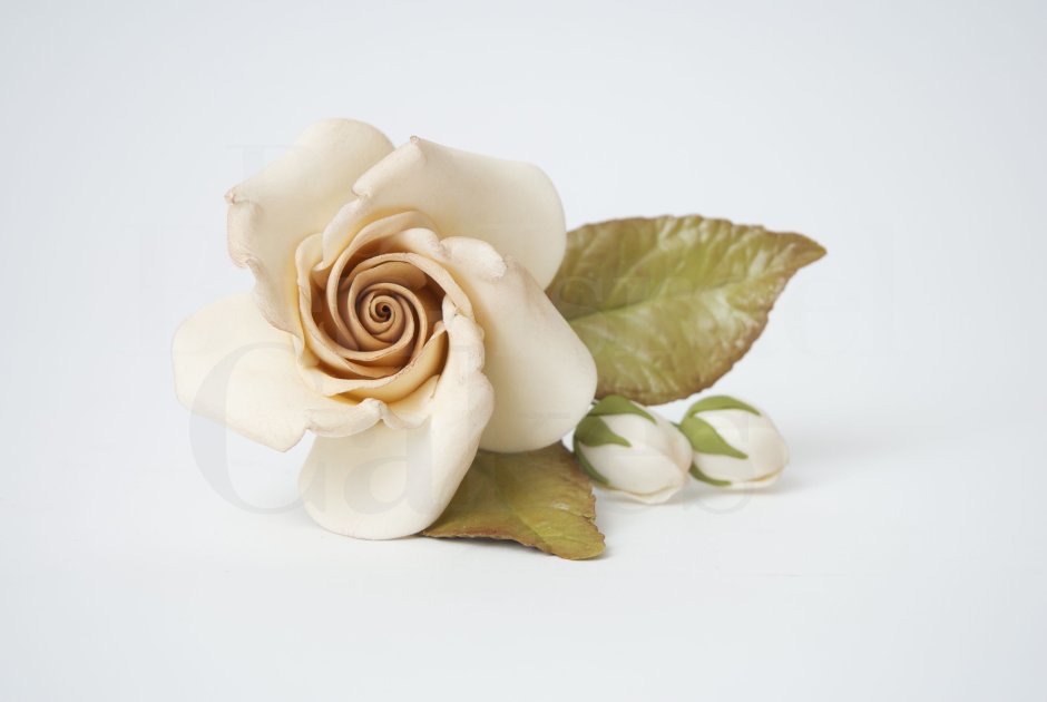 Белые розы из сахарной мастики