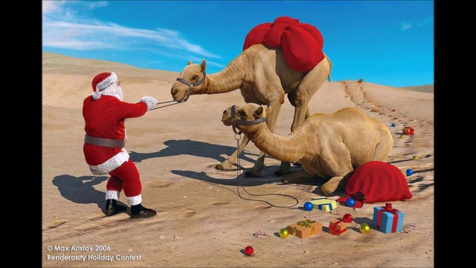 Дед Мороз на верблюде
