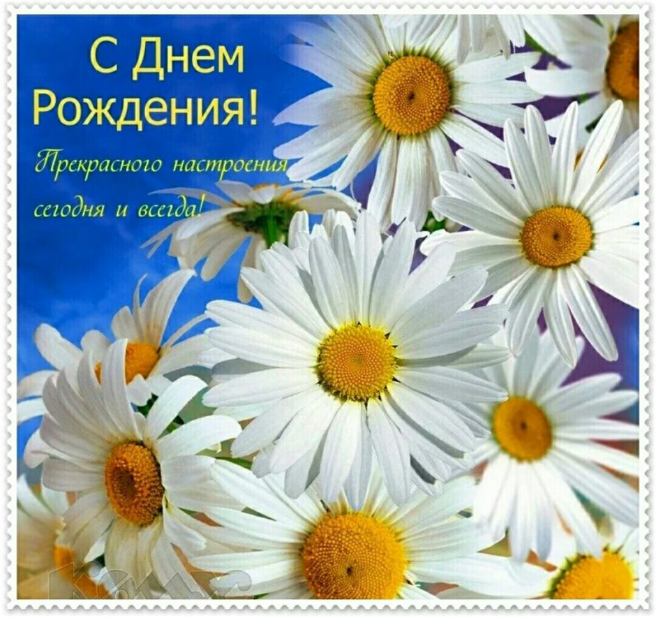 С днем рождения открытки с цветами