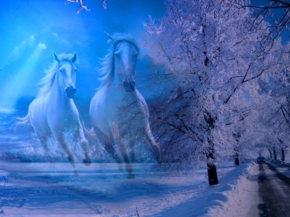 Лошадь на зимнем фоне