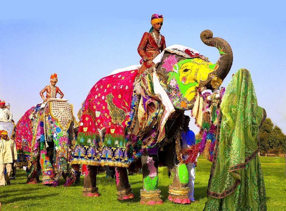 Индия слоны символ