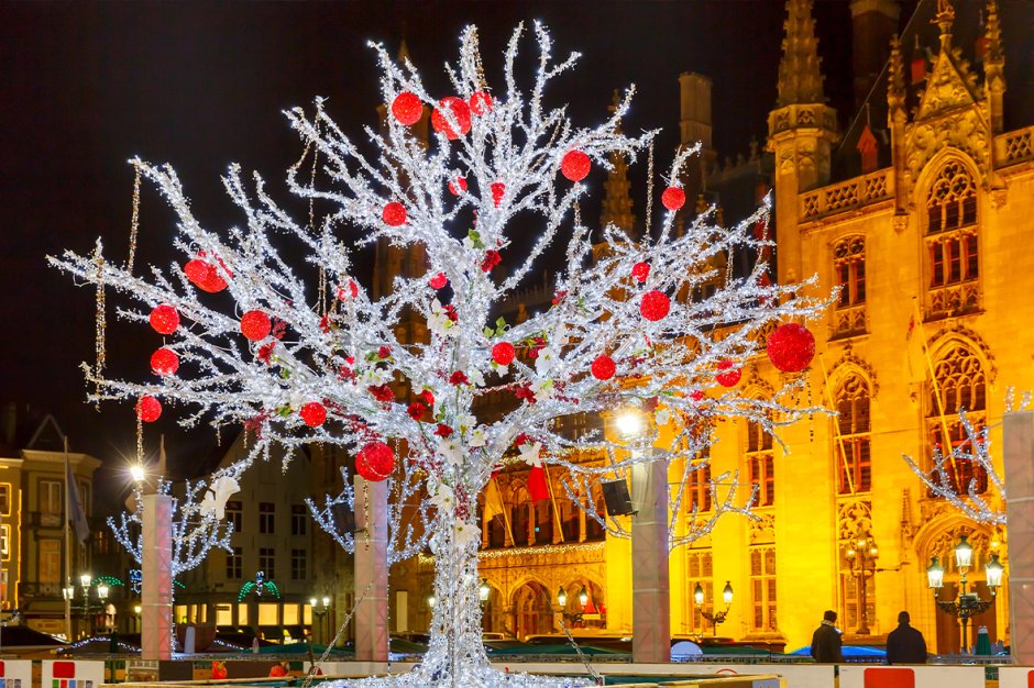 Brugge Christmas Tree