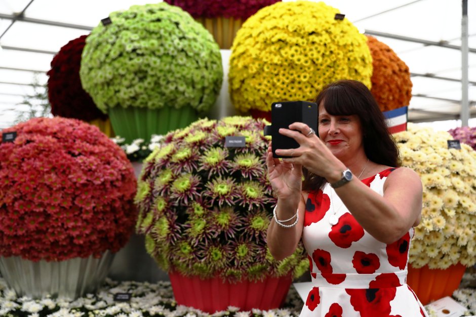 Фестиваль цветов в Челси Chelsea Flower show