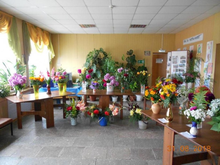 Дом торговли цветы