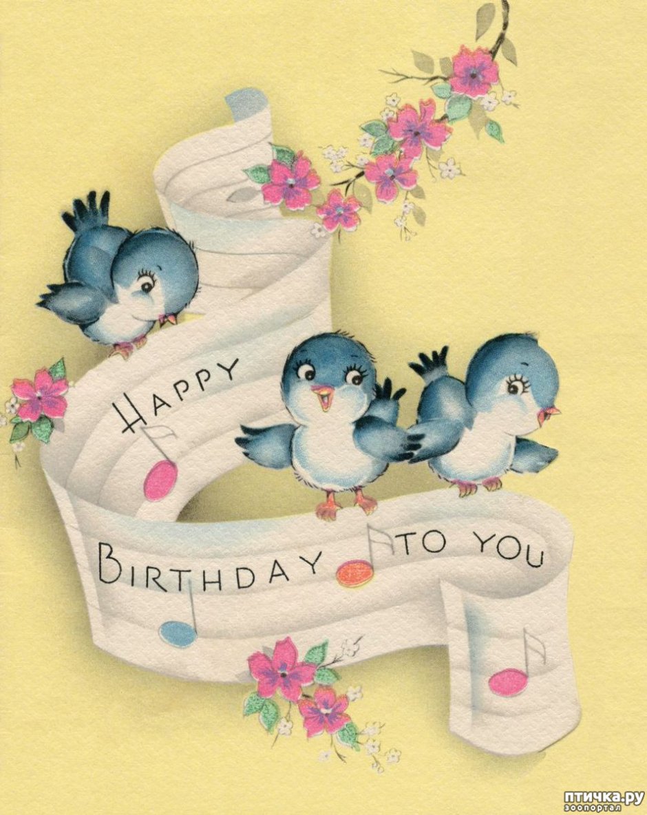 Открытки с днём рождения с птицами