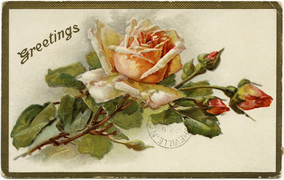 Старинные открытки цветы