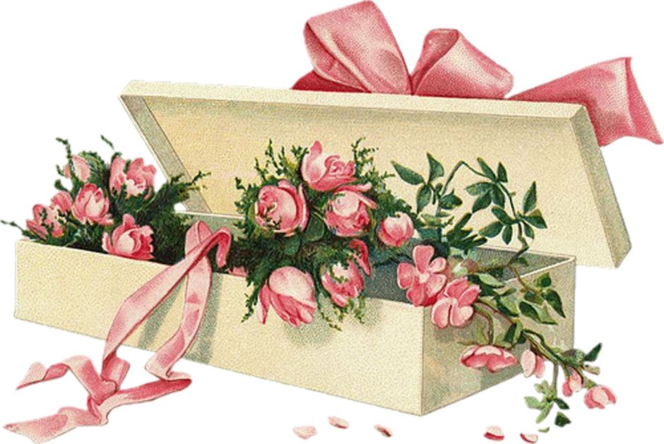 Коробка с цветами на прозрачном фоне