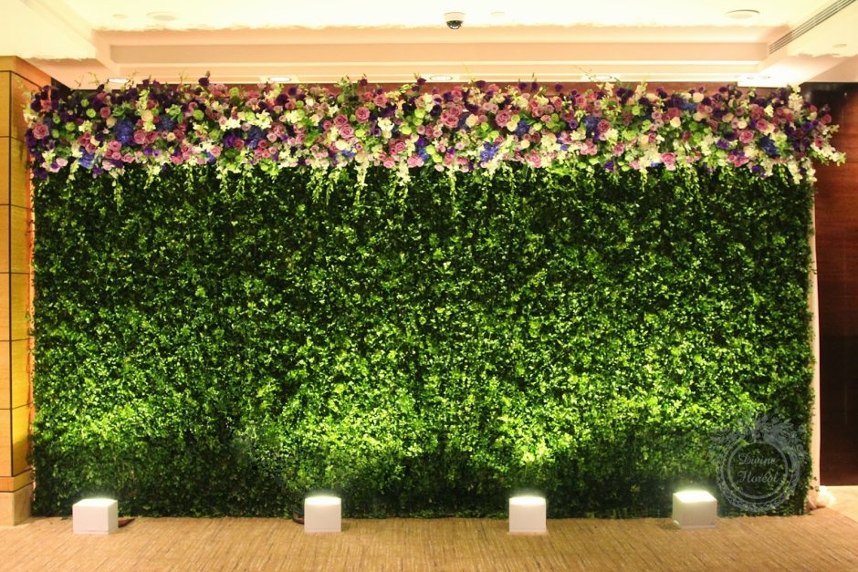 Стена из цветов