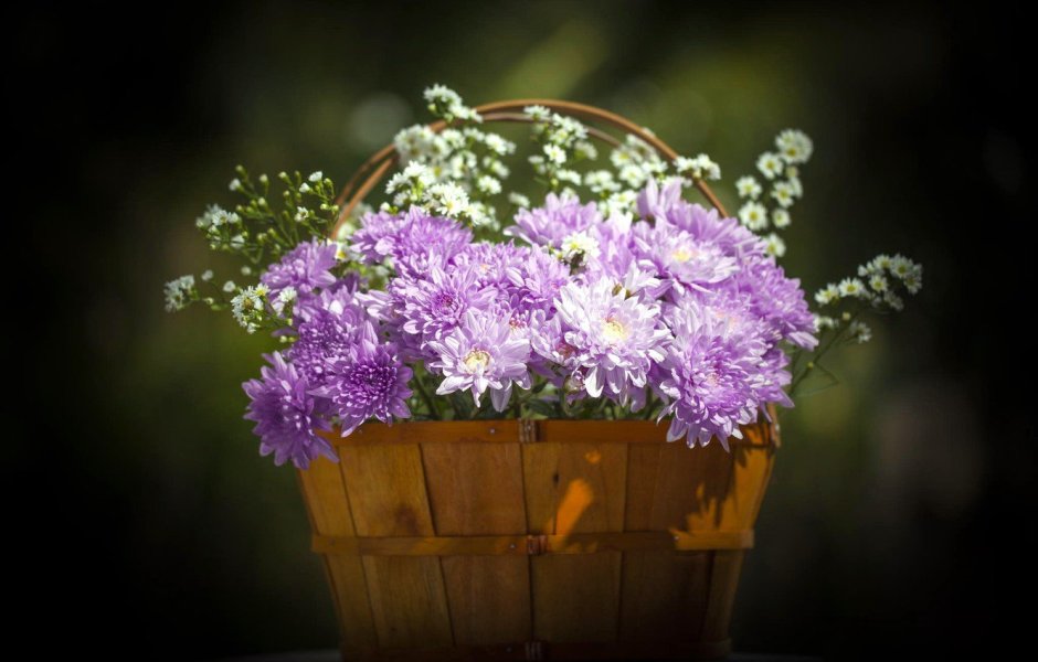 Цветы космея и васильки в вазе
