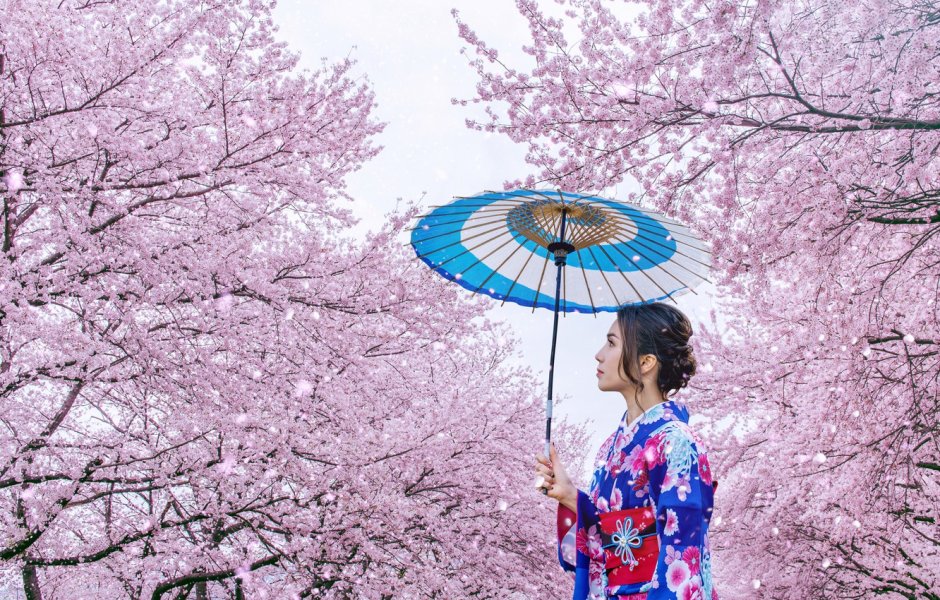 Фестиваль цветов в Японии 2021