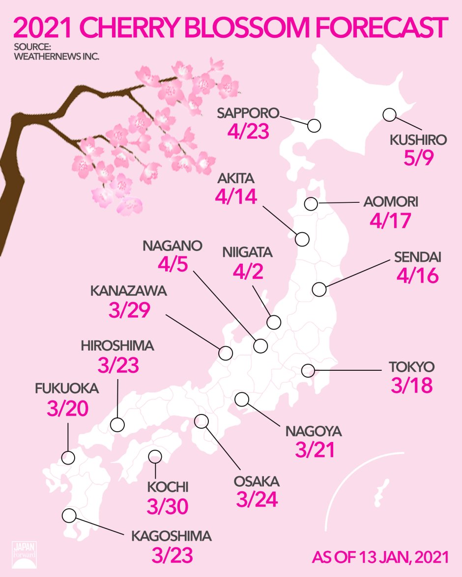 Цветение Сакуры в Японии 2019