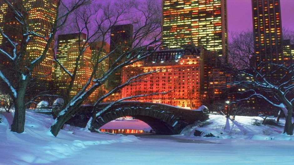 Централ парк Нью-Йорк зимой