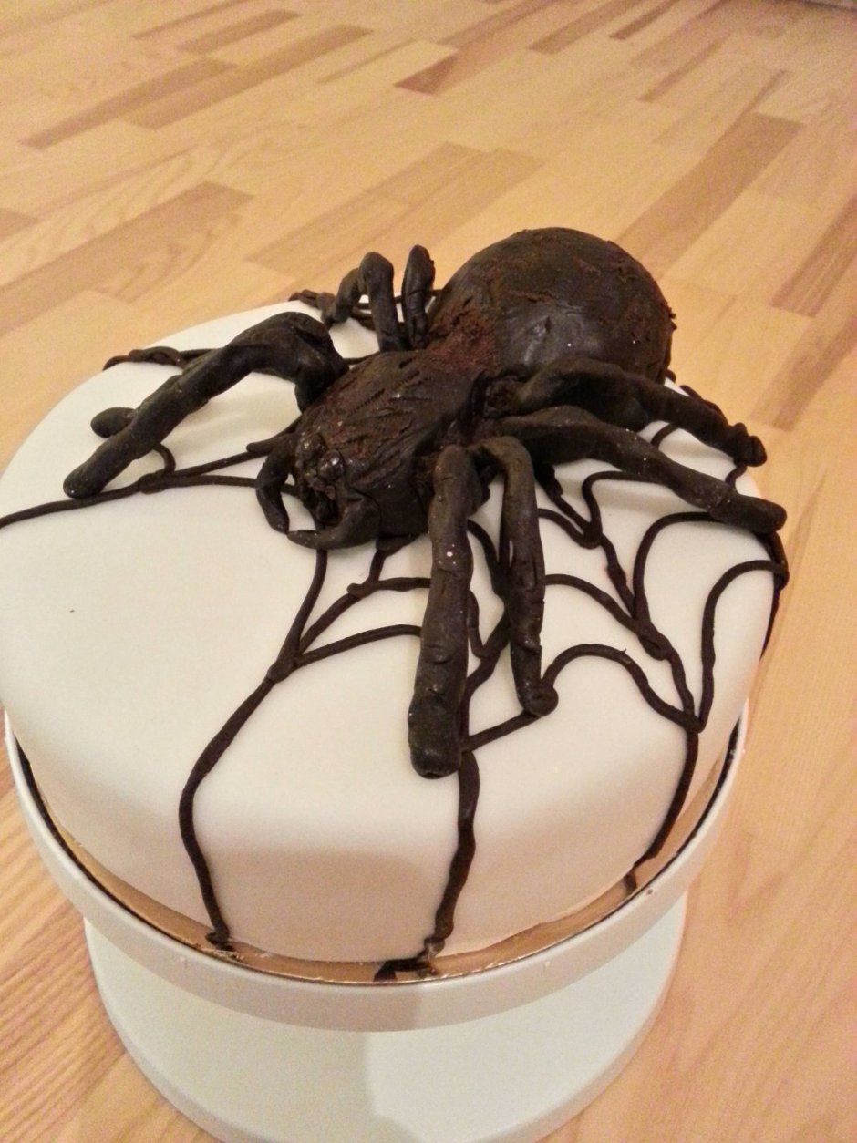Торт паук