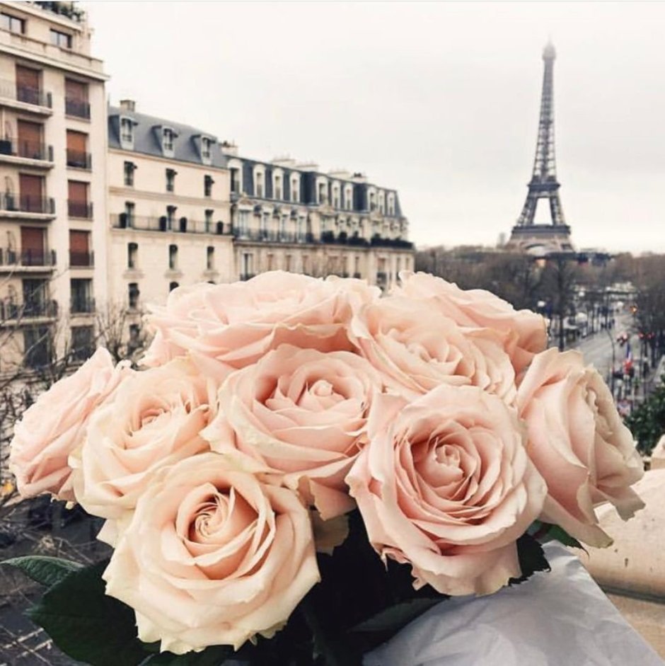 Розы на фоне Парижа