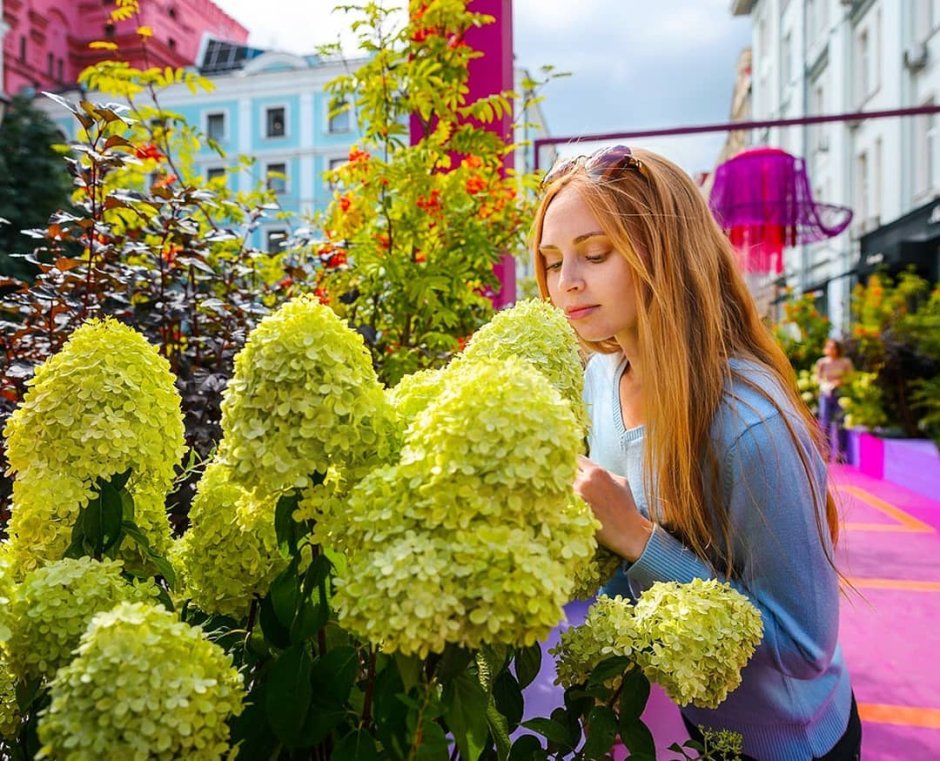 Цветочный джем в Москве